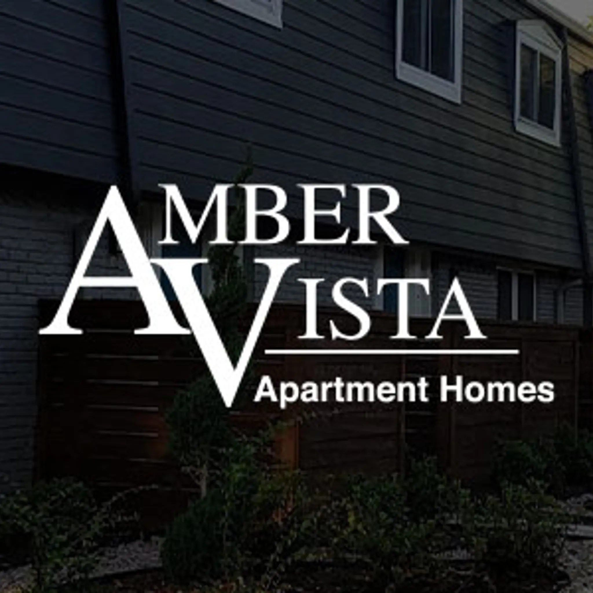 Unit 202 - 2 Bedroom 1 Bathroom | Amber Vista